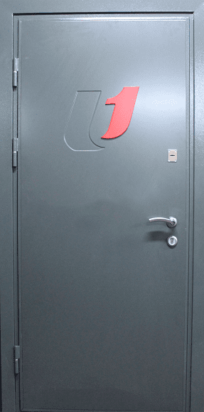 Заказать металлическая дверь с логотипом ST-685